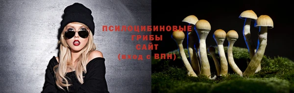 а пвп мука Богородицк