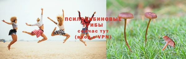 а пвп мука Богородицк