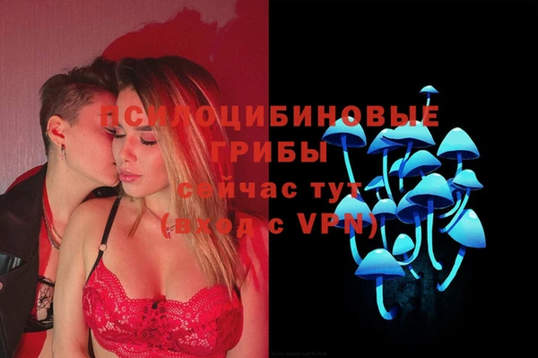 а пвп мука Богородицк