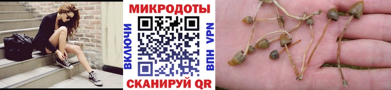 Псилоцибиновые грибы MAGIC MUSHROOMS  купить наркоту  MEGA зеркало  Армавир 